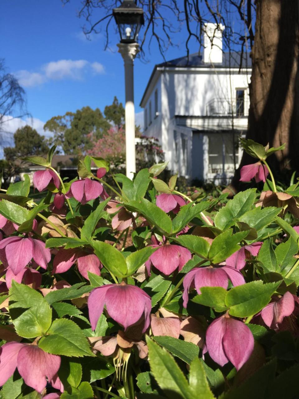 Boscobel Of Tasmania Bed & Breakfast Ulverstone Luaran gambar
